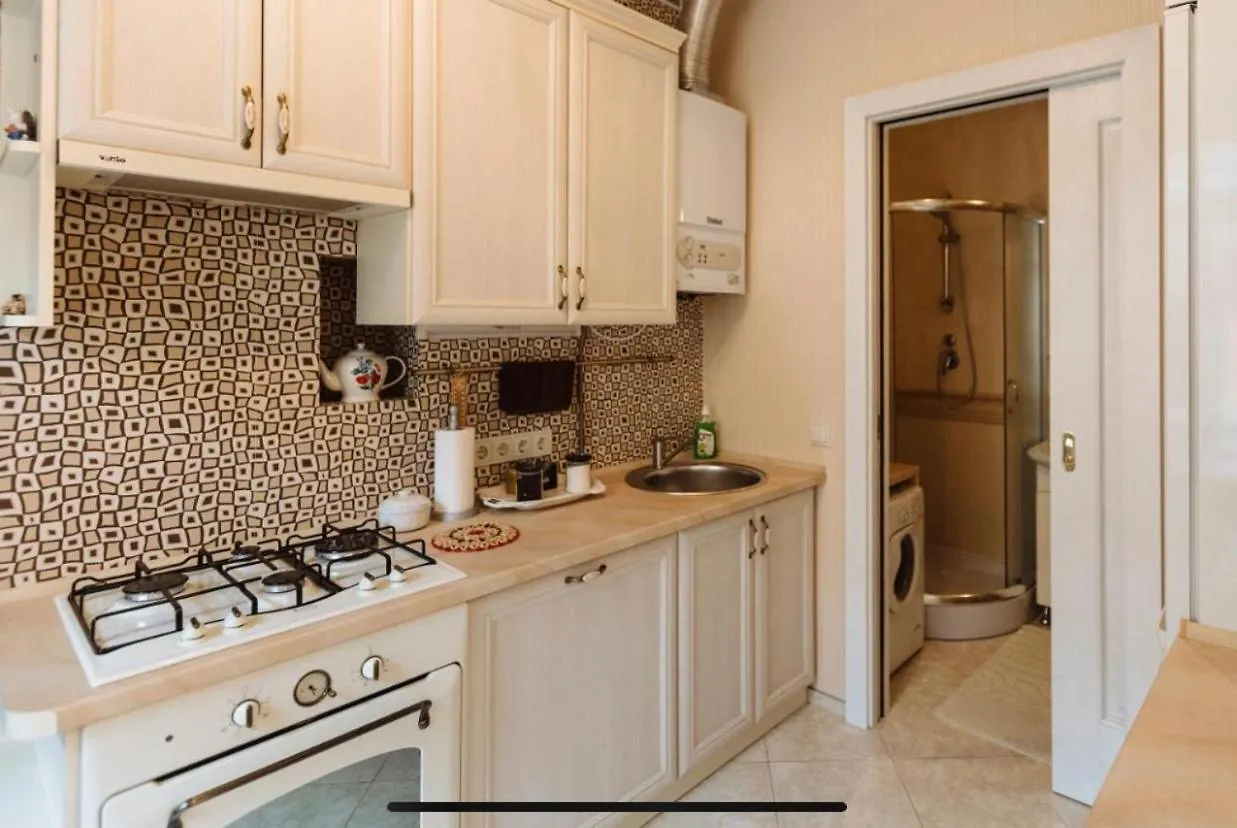 Central Lviv House Apartment