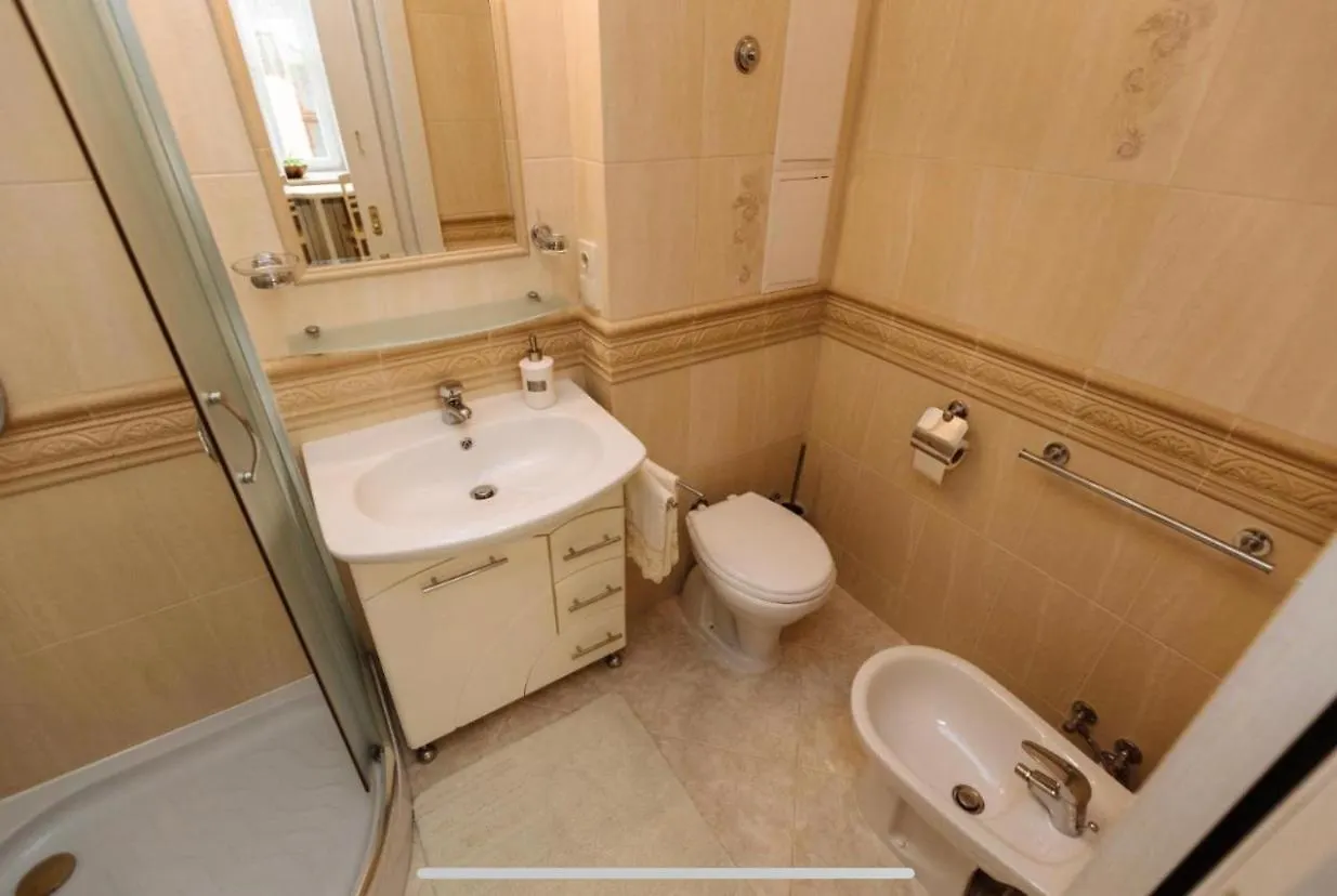 Central Lviv House 0*,